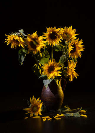 Beautiful bouquet of sunflowers in vase on a black table over black background. Autumn still lifeの写真素材