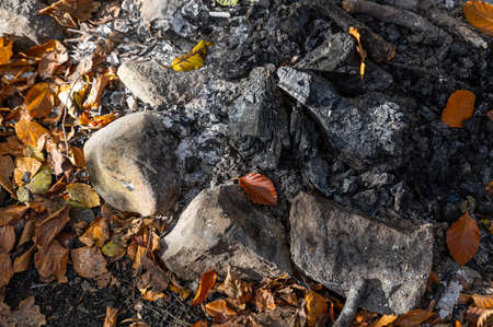 Burnt campfire in the forest in autumnの写真素材