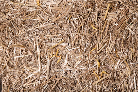 Hay or straw texture background. Natural backgroundの写真素材