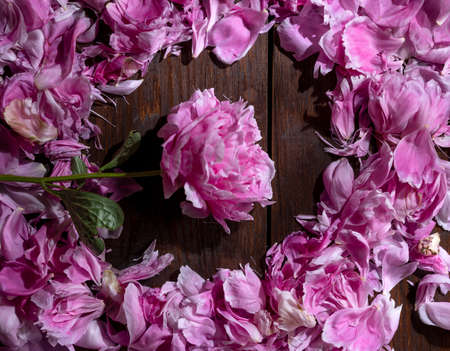 Pink peonies petals on a wooden background. Beautiful natural backgroundの写真素材
