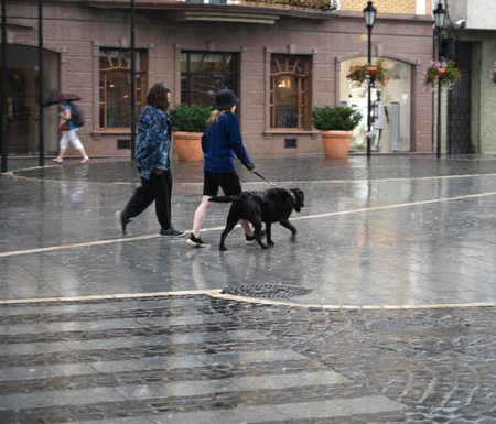 Group of people walking down the street in a rainy day in motion blurの写真素材