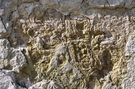 Texture of decorative plaster or concrete. Abstract plaster background for design