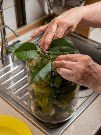 Woman preparing cucumbers for marinating with garlic and dillの写真素材