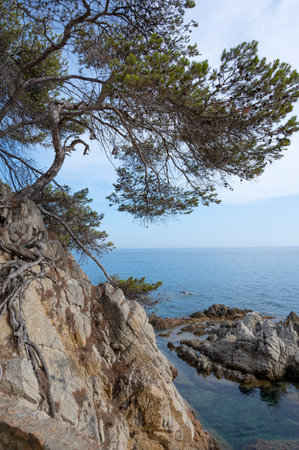 Summer sea rocky coast view in Lloret de Mar in Spain
