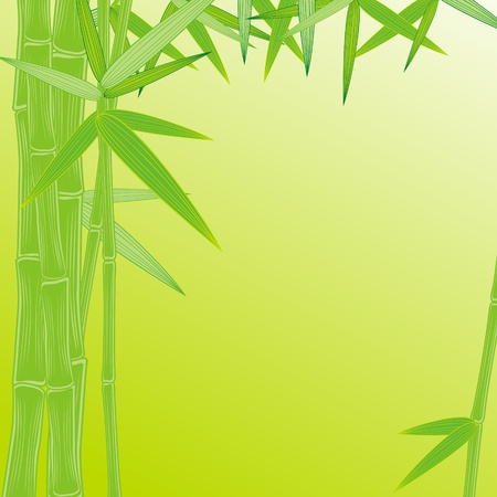 summer bamboo frame on green backgroundのイラスト素材