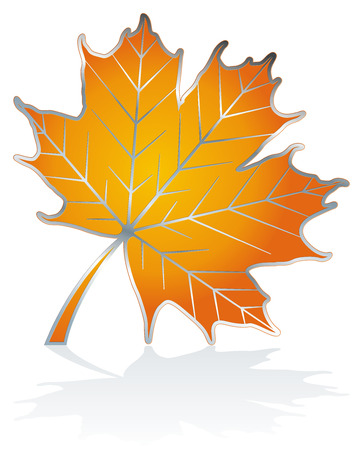 icon as autumn maple leave, isolated on white with shadow のイラスト素材