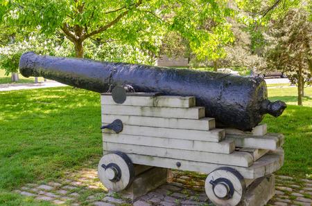 Cannon at the University of Toronto, Ontario, Canada