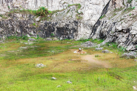 Minas Gerais, Brasil, Dec,27 - 2015: Man in nature enjoying a off road quad bike through a mud lake in countryside.のeditorial素材