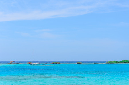 Aruba, Caribbean - September 28, 2012: Looking through the trees in Mangel Halto beach in Arubaのeditorial素材