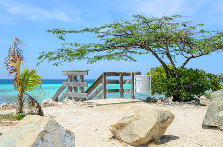 Looking through the mangrove trees in Mangel Halto beach in Arubaの写真素材