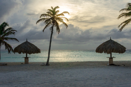 Rest area with Palm trees by the beach in Aruba Islandの写真素材