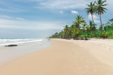 Itacare, Brazil - December 7, 2016: Amazing green nature at the Itacarezinho beach in Bahiaのeditorial素材