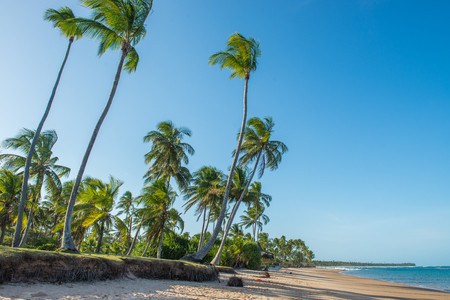 Barra Grande, Brazil - December 8, 2016: Spectacular and impressive paradise beach at the Itacare Bahia state Brazil Northeastのeditorial素材