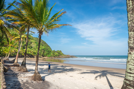 Itacare, Brazil - December 7, 2016: Spectacular and impressive paradise beach at the Itacare Bahia state Brazil Northeastのeditorial素材