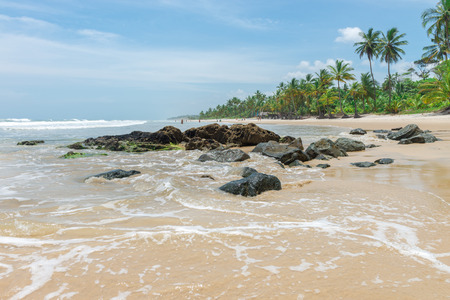 Itacare, Brazil - December 7, 2016: Amazing green nature at the Itacarezinho beach in Bahiaのeditorial素材