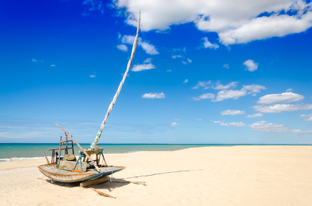 Parked jangada boat over a paradise white sandy beachの写真素材