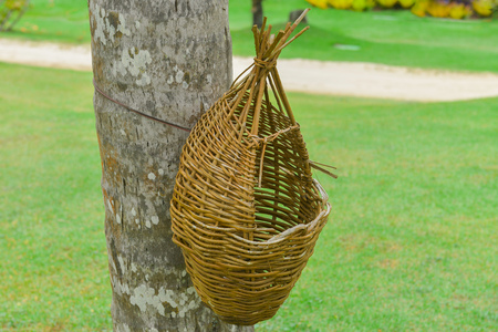 wooden wastebasket hanging on tree trunk at the fieldの写真素材
