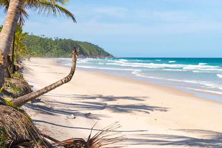 Itacare, Brazil - December 10, 2016: People enjoying and walking on the beach on a sunny dayのeditorial素材