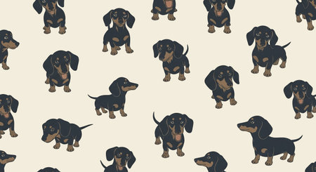 Seamless pattern with dachshund. Vector illustration.の素材