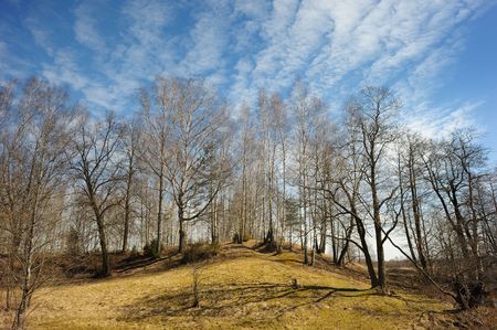 The beginning of spring, landscape with trees on the hill and sky.の写真素材