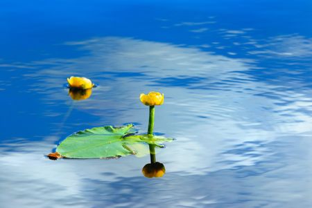 Blue sky and clouds reflected in water.の写真素材