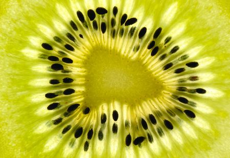 Thin slices of kiwi fruit on white background, isolatedの写真素材