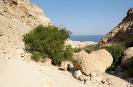 Ein Gedi Nature Reserve on the coast of the Dead Sea