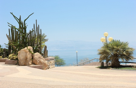 Ein Gedi - an oasis on the shore of the Dead Seaの写真素材