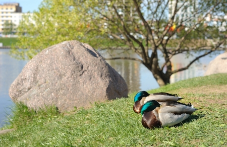 Sunny spring day in Minsk city, Belarus の写真素材