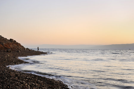 The coast of the Dead Sea near Ein Gedi nature reserve in Israelの写真素材