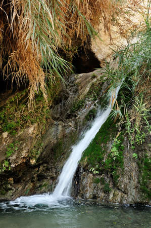 Streams and waterfalls Nature Reserve Ein Gedi at the Dead Sea in Israelの写真素材