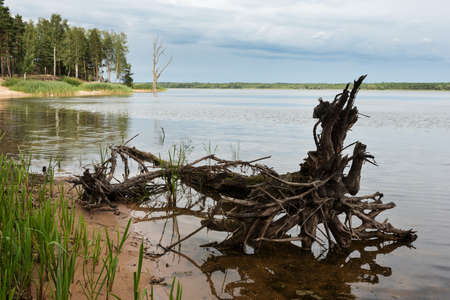 The nature of Belarus, a calm cloudy summer day on the Vileika reservoir