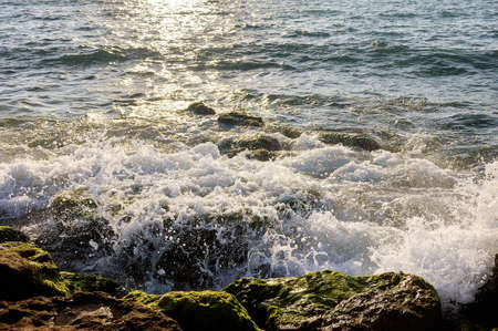 Mediterranean coast in southern Israel near the city of Ashkelon