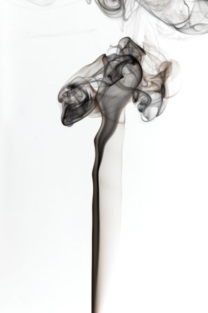Puffs and curls of dark smoke on a white background rising from a burning stickの写真素材