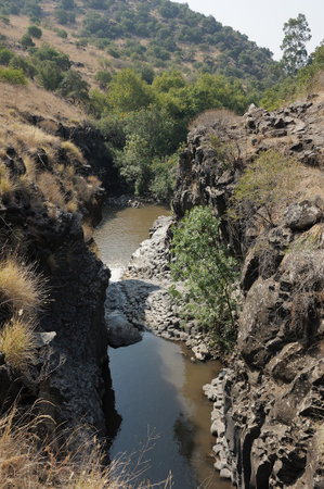 Stream and pond Meshushim in Israel - a beautiful place in the Golanの写真素材