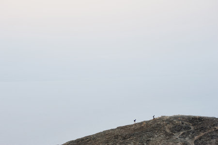 Coast of the Red Sea Gulf of Eilat in Israelの写真素材