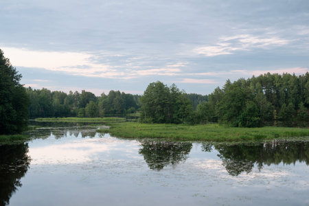 Sunrise on the lake, morning fog and sunlit trees on the shoreの写真素材