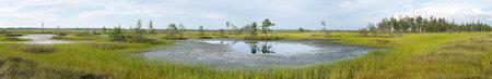 The huge sphagnum bog Yelnya in Belarus, a unique nature reserve