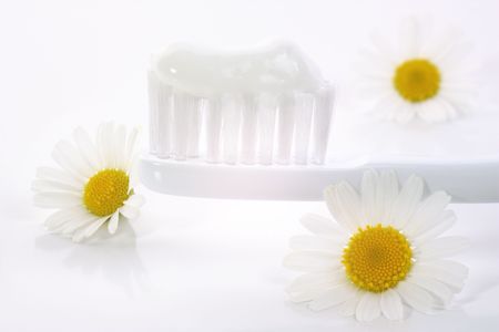 Toothbrush with  toothpaste  and daisywheelの写真素材