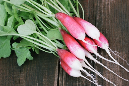 Radishの写真素材