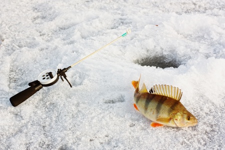 Winter fishingの写真素材