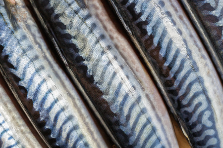 Closeup of several fresh fish mackerels.