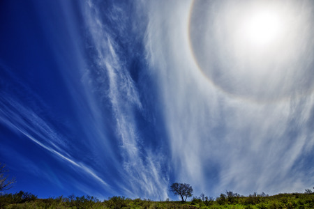 Spring landscape with sun halo and blue skyの写真素材
