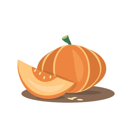 pumpkin slice composition. pumpkin vectorのイラスト素材
