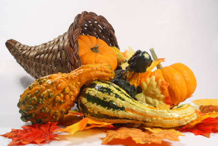 Cornucopia containing gourds and pumpkins