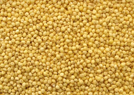 Millet grainsの写真素材