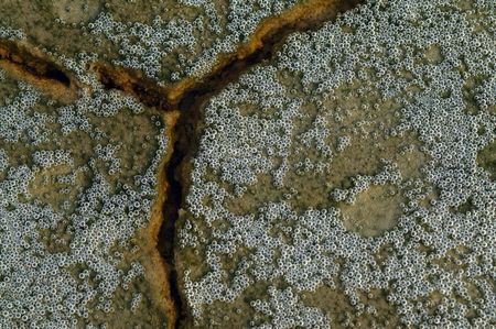 KONICA DIGITAL CAMERAの写真素材