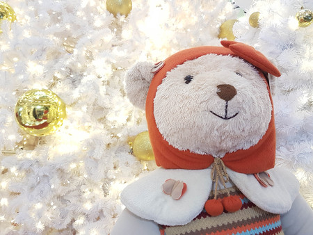White bear doll with red hoodの写真素材