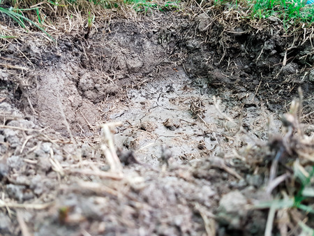 Small dry shallow well with the broken soil around with grass