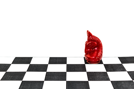 Alone knight horse of chess charactor on board isolated on white backgroundの写真素材
